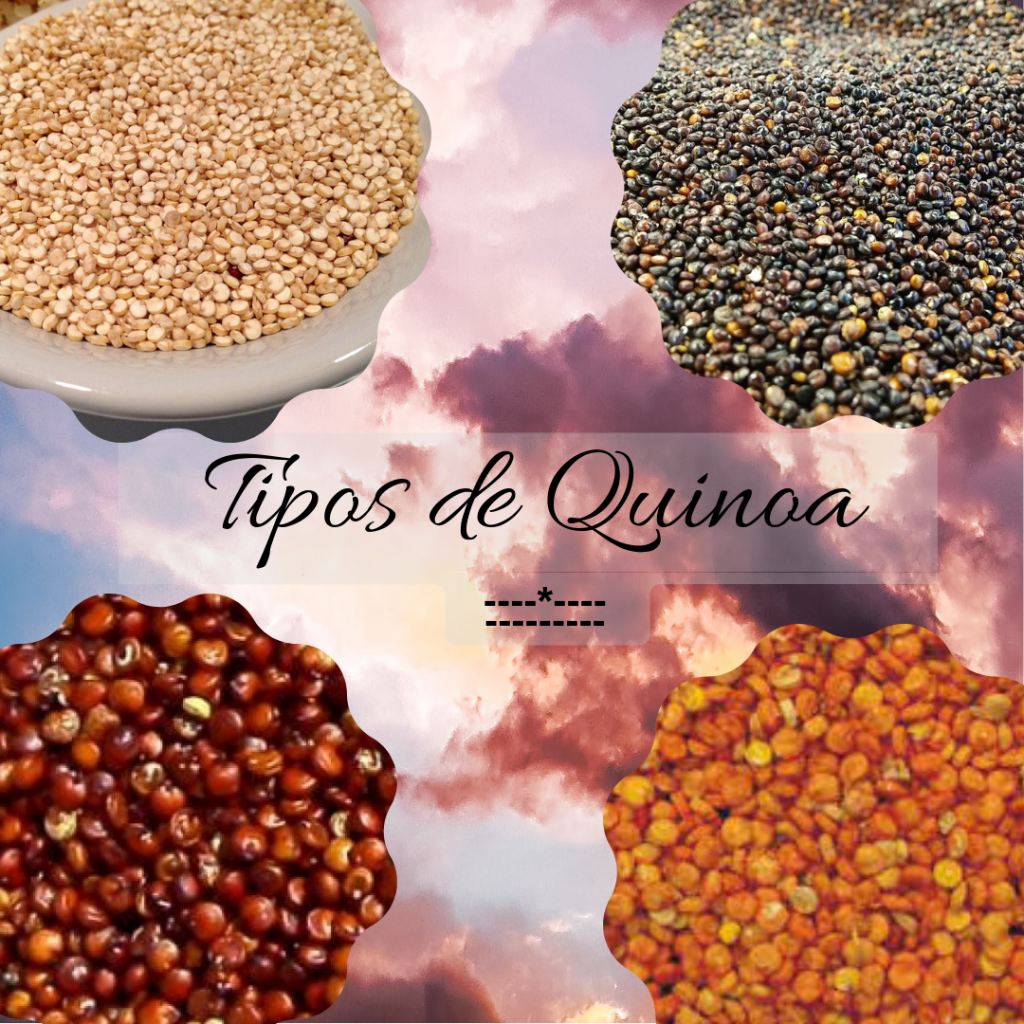 tipos de quinoa o quinua